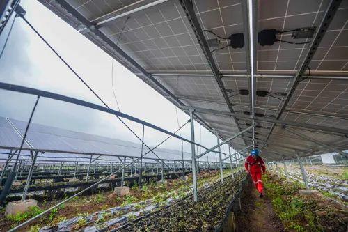 中國十三省最大光伏電站在這里！欽州康熙嶺的光伏電站能排上號了嗎？